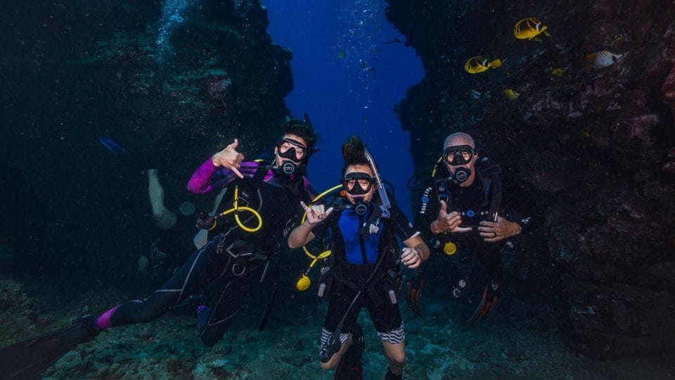 best time of day for whale watching in maui