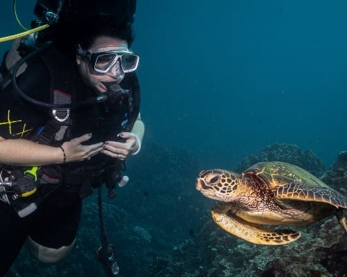Carthaginian wreck diving
