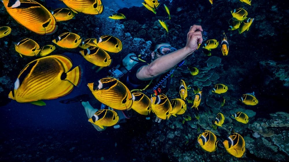 Lanai Cathedrals Dive Maui