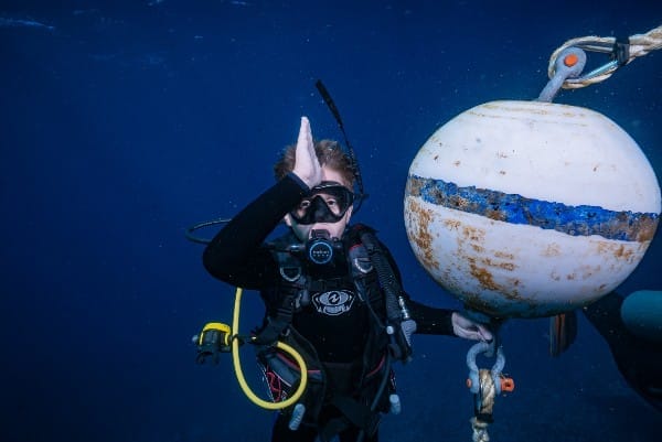 is shark diving dangerous is shark diving dangerous