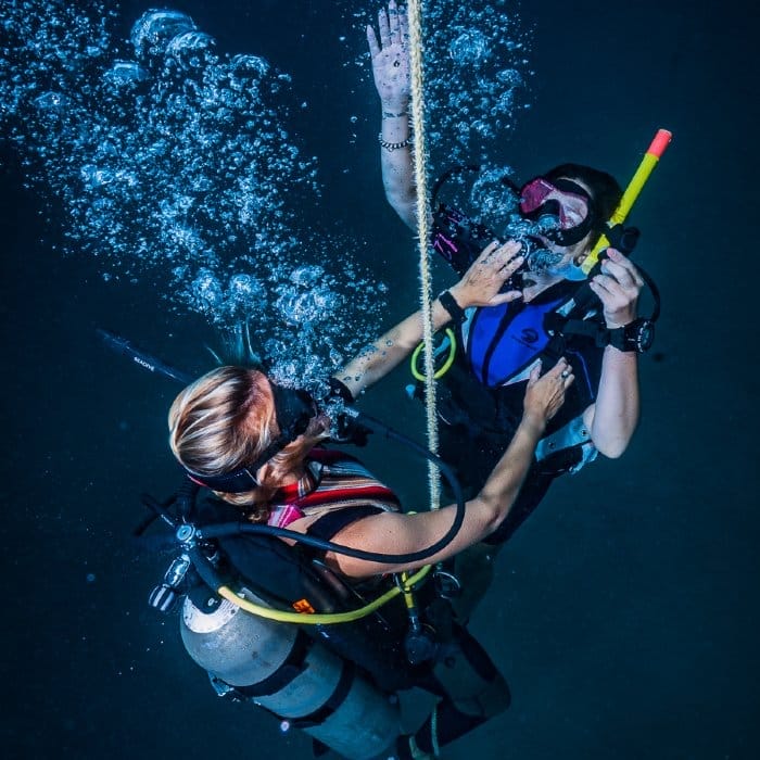 padi scuba diving certification