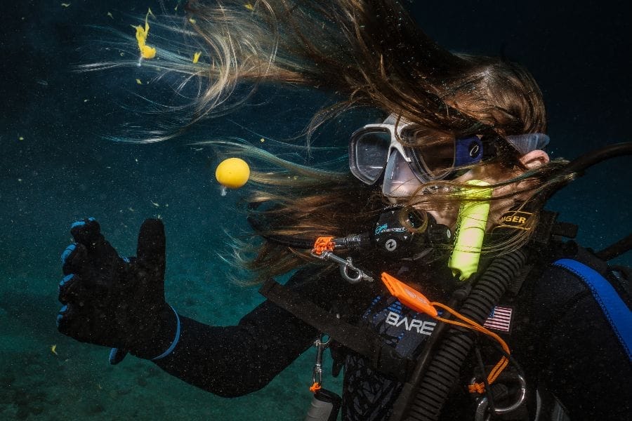 PADI Open Water lessons Maui