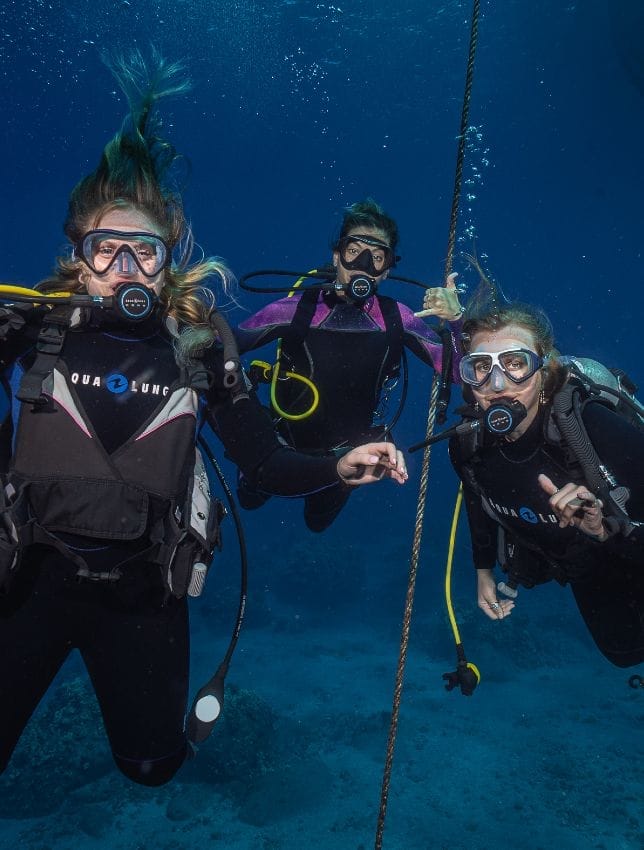 Book Dive Course Maui Book Dive Course Maui