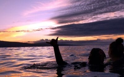 What Not to Do After a Dive