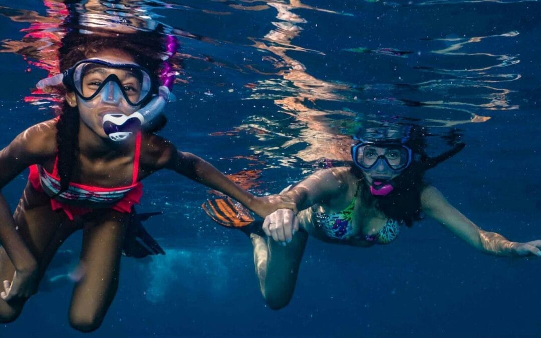 Snorkeling Vs. Diving: Which is Right for You?