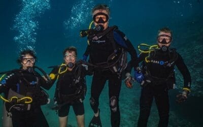 Four Mistakes Most New Divers Make Will Make (And How to Avoid Them)