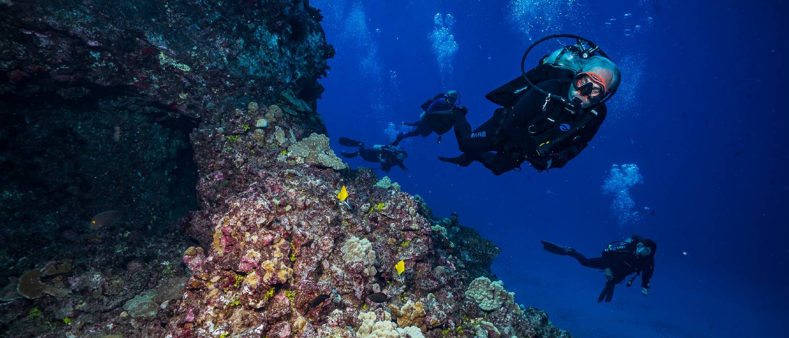 Dive tour at Molokini Crater back wall
