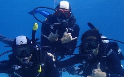 Three Maui Diving Trips That Shouldn’t Be Missed