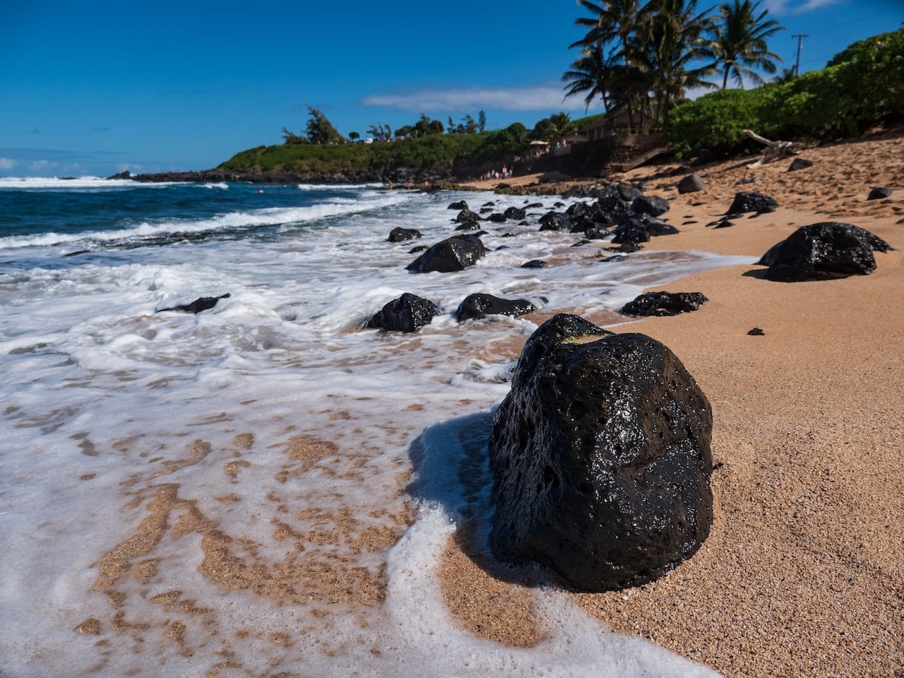 Maui in December