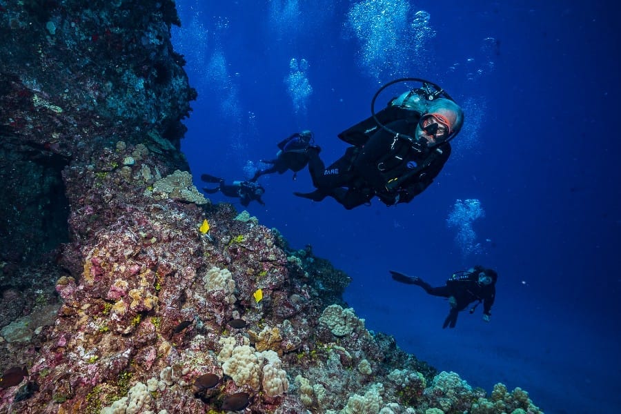 Maui Marine Life in September
